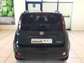 Fiat Panda 1.0 FireFly S&S Hybrid CROSS NO STK Verde - thumbnail 7
