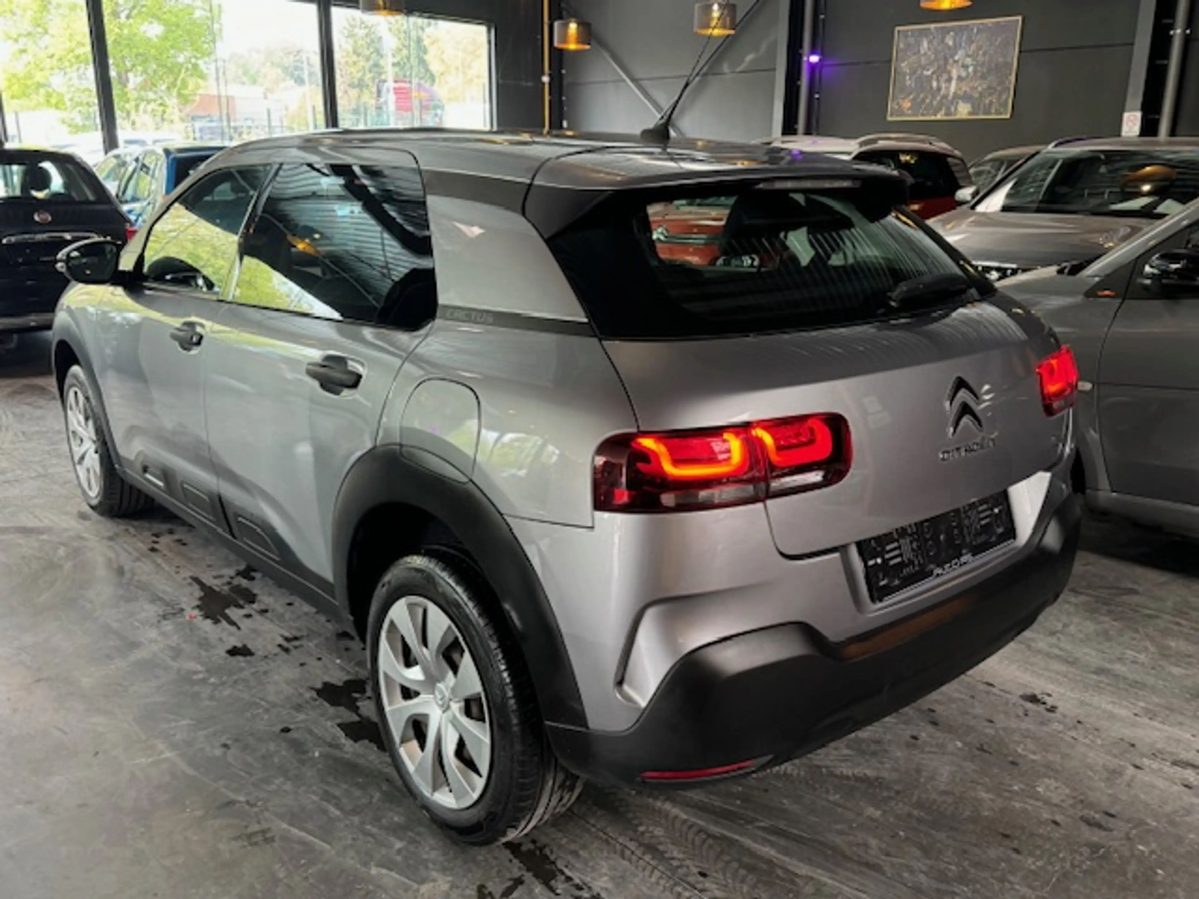 Citroen C4 Cactus 1.2 - A/C - MEDIA/TEL - NAVI - APPLI - LIM/REG — photo 6