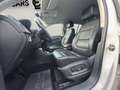 Volkswagen Tiguan 2.0 TDI R-LINE / 4-MOTION ALLRAD / TEMPOMAT / PA Weiß - thumbnail 14