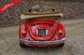 Volkswagen Kever Cabriolet PRICE REDUCTION Fully restored and mecha Rood - thumbnail 20