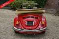Volkswagen Kever Cabriolet PRICE REDUCTION Fully restored and mecha Rood - thumbnail 11