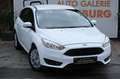 Ford Focus Lim. 1.6L Duratec Ti-VCT KLIMA USB TÜV '26 Weiß - thumbnail 2
