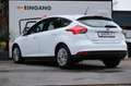 Ford Focus Lim. 1.6L Duratec Ti-VCT KLIMA USB TÜV '26 Weiß - thumbnail 5