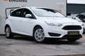 Ford Focus Lim. 1.6L Duratec Ti-VCT KLIMA USB TÜV '26 Weiß - thumbnail 4