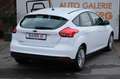 Ford Focus Lim. 1.6L Duratec Ti-VCT KLIMA USB TÜV '26 Weiß - thumbnail 7