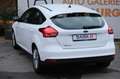 Ford Focus Lim. 1.6L Duratec Ti-VCT KLIMA USB TÜV '26 Weiß - thumbnail 6