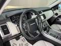 Land Rover Range Rover Sport 3.0TDV6 S Aut. Verde - thumbnail 12