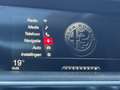 Alfa Romeo Stelvio 2.0 T AWD First Edition|Pano|Leer|Camera|Sublieme Grau - thumbnail 20
