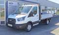 Ford Transit Pritsche 2,0 EcoBlue L2H1 350 Trend Blanc - thumbnail 1
