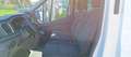 Ford Transit Pritsche 2,0 EcoBlue L2H1 350 Trend Blanc - thumbnail 7