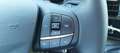 Ford Transit Pritsche 2,0 EcoBlue L2H1 350 Trend Blanc - thumbnail 13