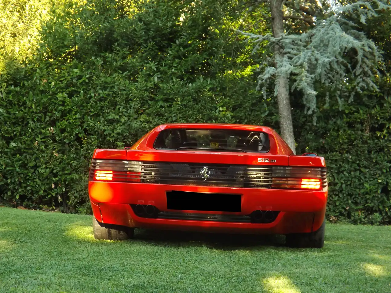 Ferrari 512 5.0 TR anno 1993 ottimo investimento in condizioni eccellenti, foto 4