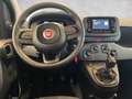 Fiat Panda /Pandina Icon Hybrid 70 Schwarz - thumbnail 21