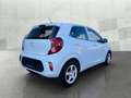 Kia Picanto Edition 7 *SHZ*7 Jahre Garantie*Lenkradheizung*Bl Білий - thumbnail 5