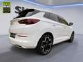 Opel Grandland 1.2 Business Elegance Klima LED Licht Bianco - thumbnail 7