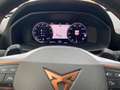 CUPRA Formentor VZ5 CUPRA VZ5 2.5 TSI 390 CV 4Drive DSG come nuova Grey - thumbnail 11