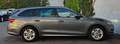 Skoda Octavia Ambition /ACC/KAMERA/ Grau - thumbnail 5
