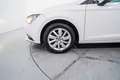 SEAT Leon ST 1.6TDI CR S&S Reference 110 Blanco - thumbnail 11