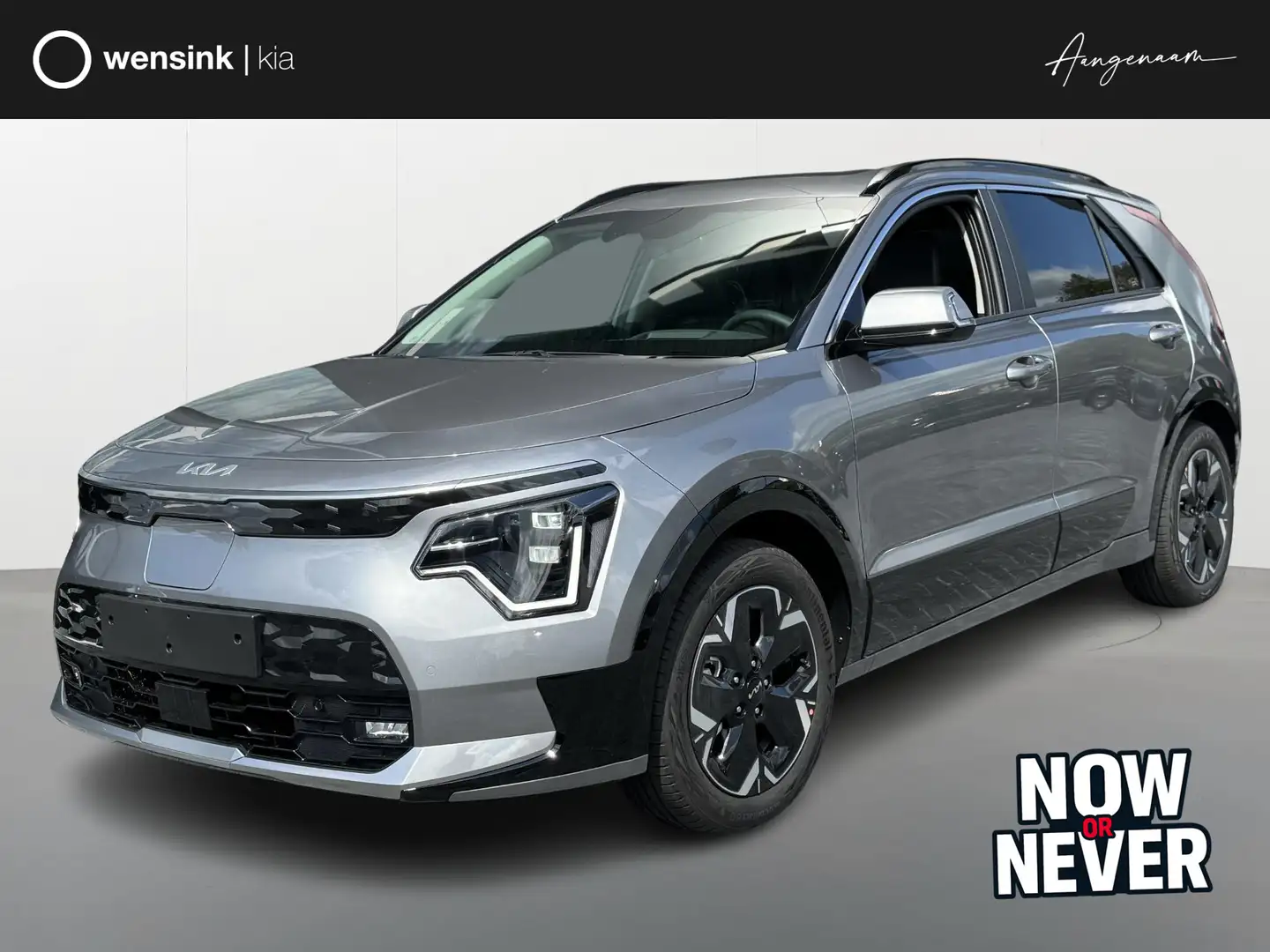 Kia e-Niro EV DynamicPlusLine 64.8 kWh Lease vanaf €639,01 p/ Grau - 1