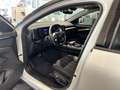 Renault Austral Techno Mild Hybrid 160PS Automatik Wit - thumbnail 16