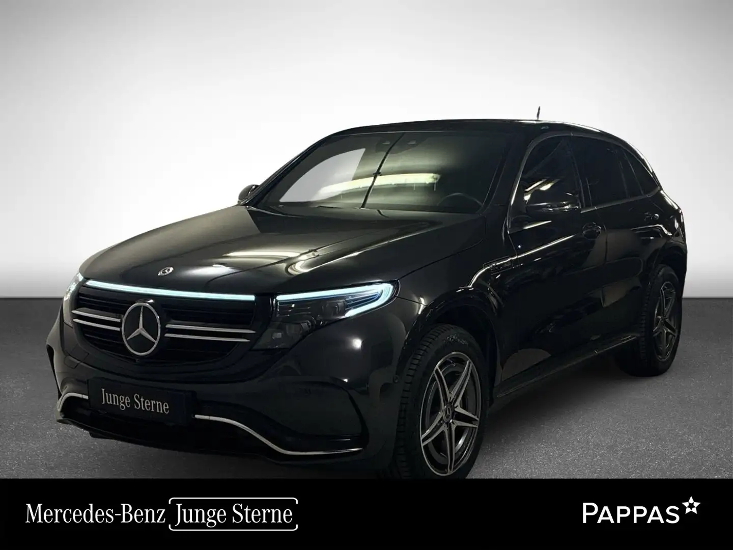 Mercedes-Benz EQC 400 4MATIC Austria Edition SHD EASY-PACK Grau - 1