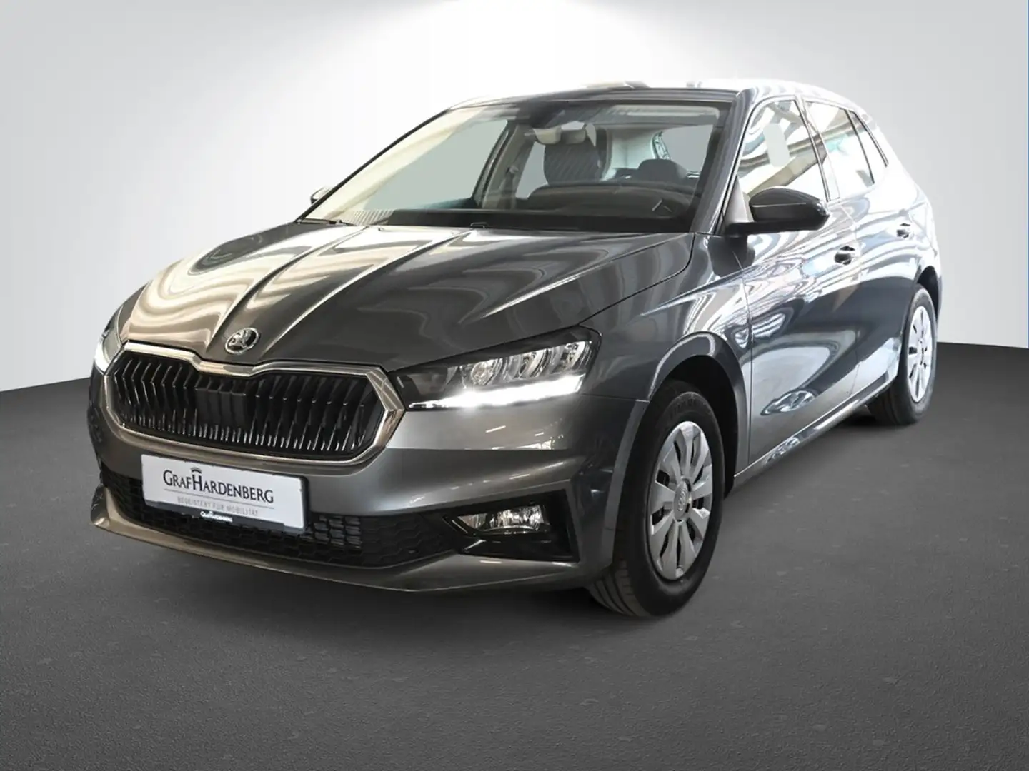 Skoda Fabia 1.0 TSI DSG Selection Grau - 1