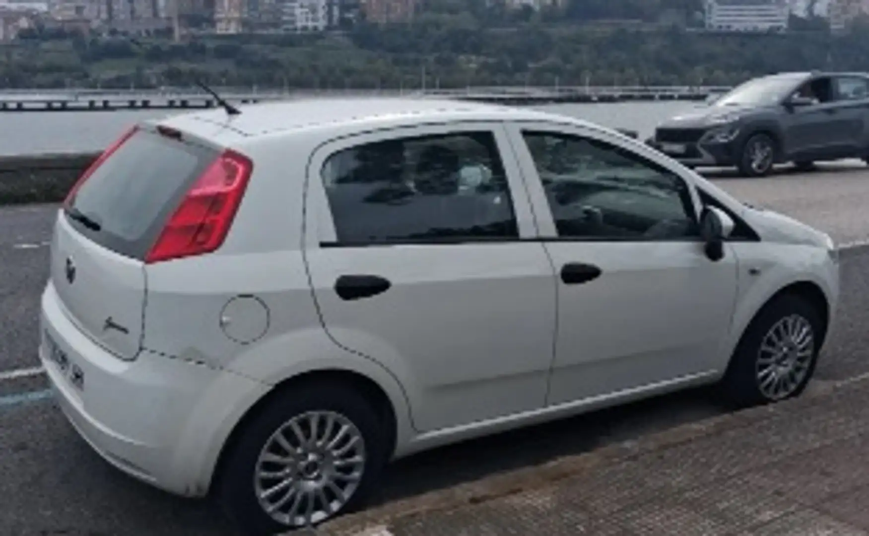 Fiat Punto Punto 1.4 16v Dynamic Dynamic Blanco - 2