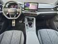 CUPRA Terramar VZ 2.0 TSI 4Dri DSG ACC+MATRIX+PANO+AHK Gris - thumbnail 14