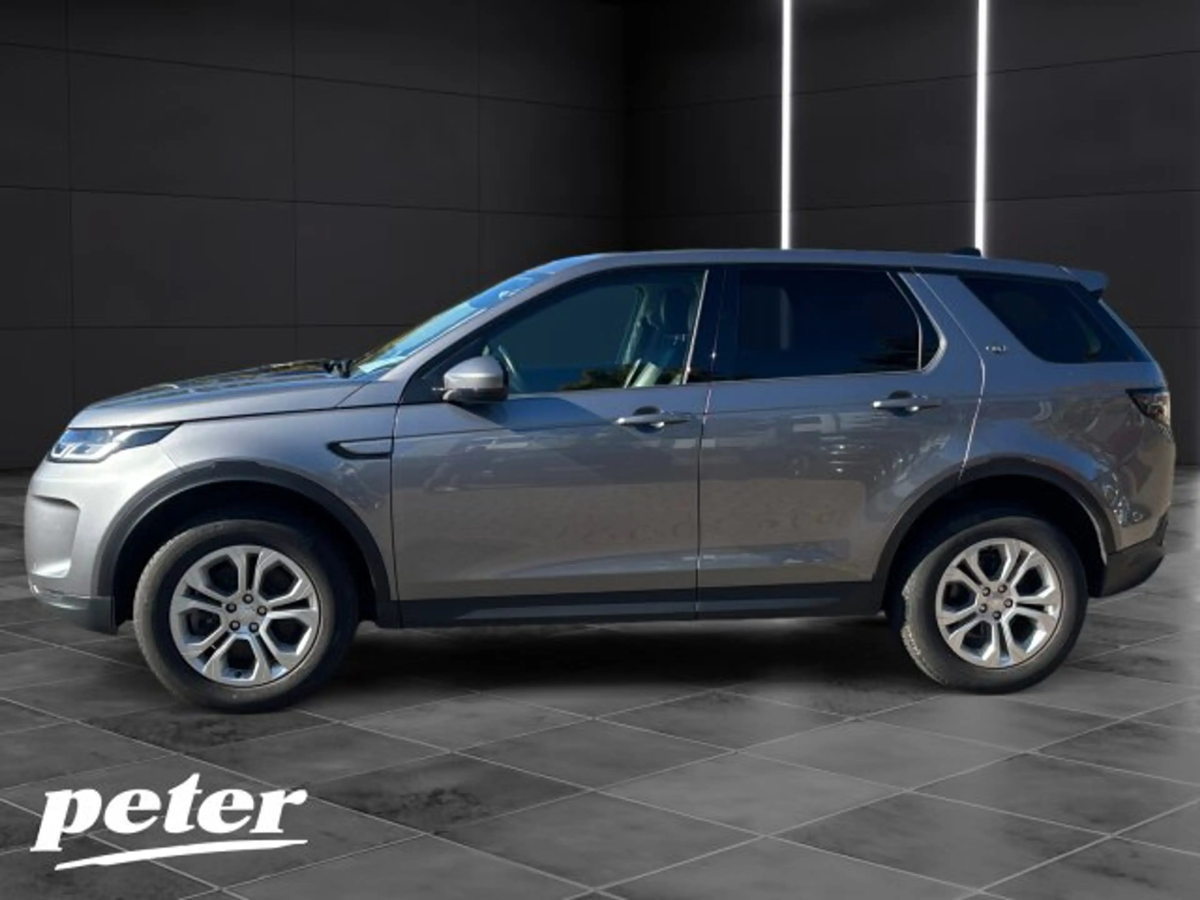Land Rover Discovery Sport (SI)  2.0 Mild-Hybrid S AWD (NDH verk. Kindervater) — photo 2