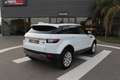 Land Rover Range Rover Evoque 2.0TD4 HSE 4WD Aut. 150 Weiß - thumbnail 7
