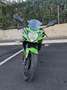 Kawasaki Ninja 125 Verde - thumbnail 3