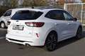 Ford Kuga ST-LINE X 2.5 PHEV, Panorama, Fahrer-Assist Weiß - thumbnail 2