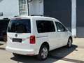 Volkswagen Caddy Kombi Comfortline 2,0 TDI 4MOTION Weiß - thumbnail 8