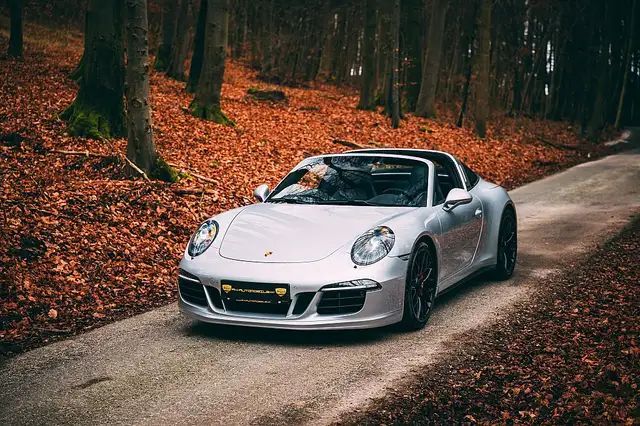 Porsche 991 911 991.1 Targa 4 GTS Coupé DSG