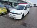 Volkswagen Caddy MAXI 2.0 TDI DSG - PIANALE RIBASSATO 5+1 - IVA 4% Bianco - thumbnail 2