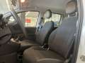 Fiat Panda 1.0 firefly hybrid s&s 70cv 5pti Bianco - thumbnail 10