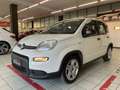 Fiat Panda 1.0 firefly hybrid s&s 70cv 5pti Bianco - thumbnail 3