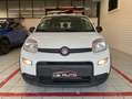 Fiat Panda 1.0 firefly hybrid s&s 70cv 5pti Bianco - thumbnail 5