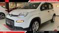 Fiat Panda 1.0 firefly hybrid s&s 70cv 5pti Bianco - thumbnail 1