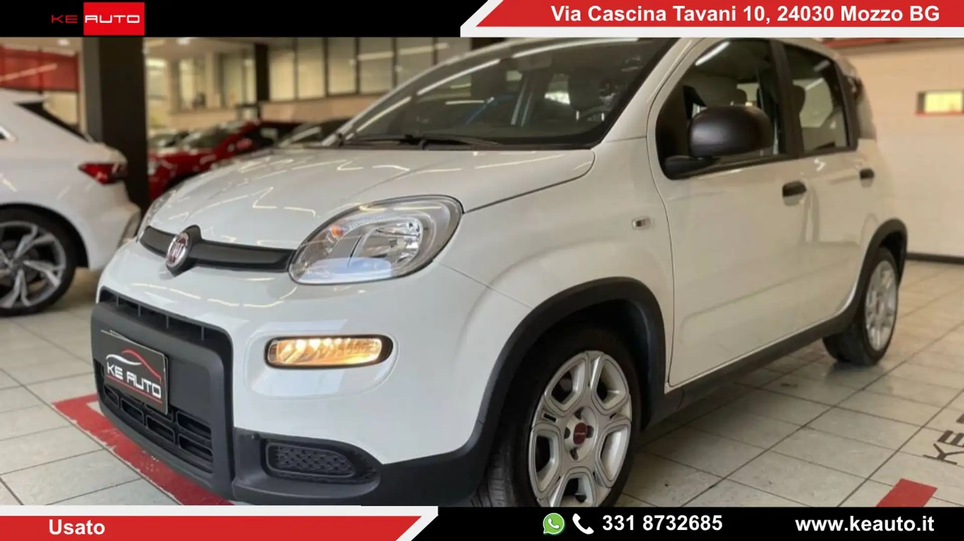 Fiat Panda 1.0 firefly hybrid s&s 70cv 5pti Bianco - 1