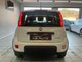 Fiat Panda 1.0 firefly hybrid s&s 70cv 5pti Bianco - thumbnail 8