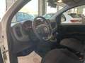 Fiat Panda 1.0 firefly hybrid s&s 70cv 5pti Bianco - thumbnail 9