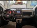 Fiat Panda 1.0 firefly hybrid s&s 70cv 5pti Bianco - thumbnail 12