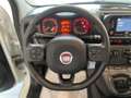 Fiat Panda 1.0 firefly hybrid s&s 70cv 5pti Bianco - thumbnail 11