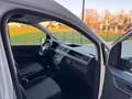 Volkswagen Caddy 2.0 TDI 4MOTION Comfortline Bianco - thumbnail 15