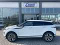 Land Rover Range Rover Evoque 2.0D I4 163CV AWD Aut R-Dynamic SE 20/ACC/BLACK P Blanc - thumbnail 2