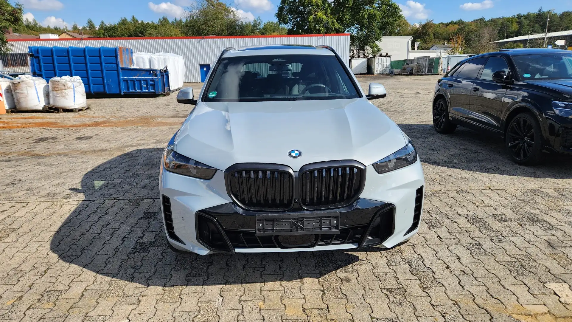 BMW X5 X5 xdrive30d MSport Pro auto Grau - 2