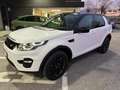 Land Rover Discovery Sport Discovery Sport 2.0 TD4 150 CV Pure Bianco - thumbnail 1