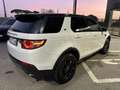 Land Rover Discovery Sport Discovery Sport 2.0 TD4 150 CV Pure Bianco - thumbnail 3