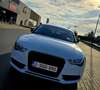 Audi A5 Sportback 2.0 TDie DPF prete a immatriculé - thumbnail 3